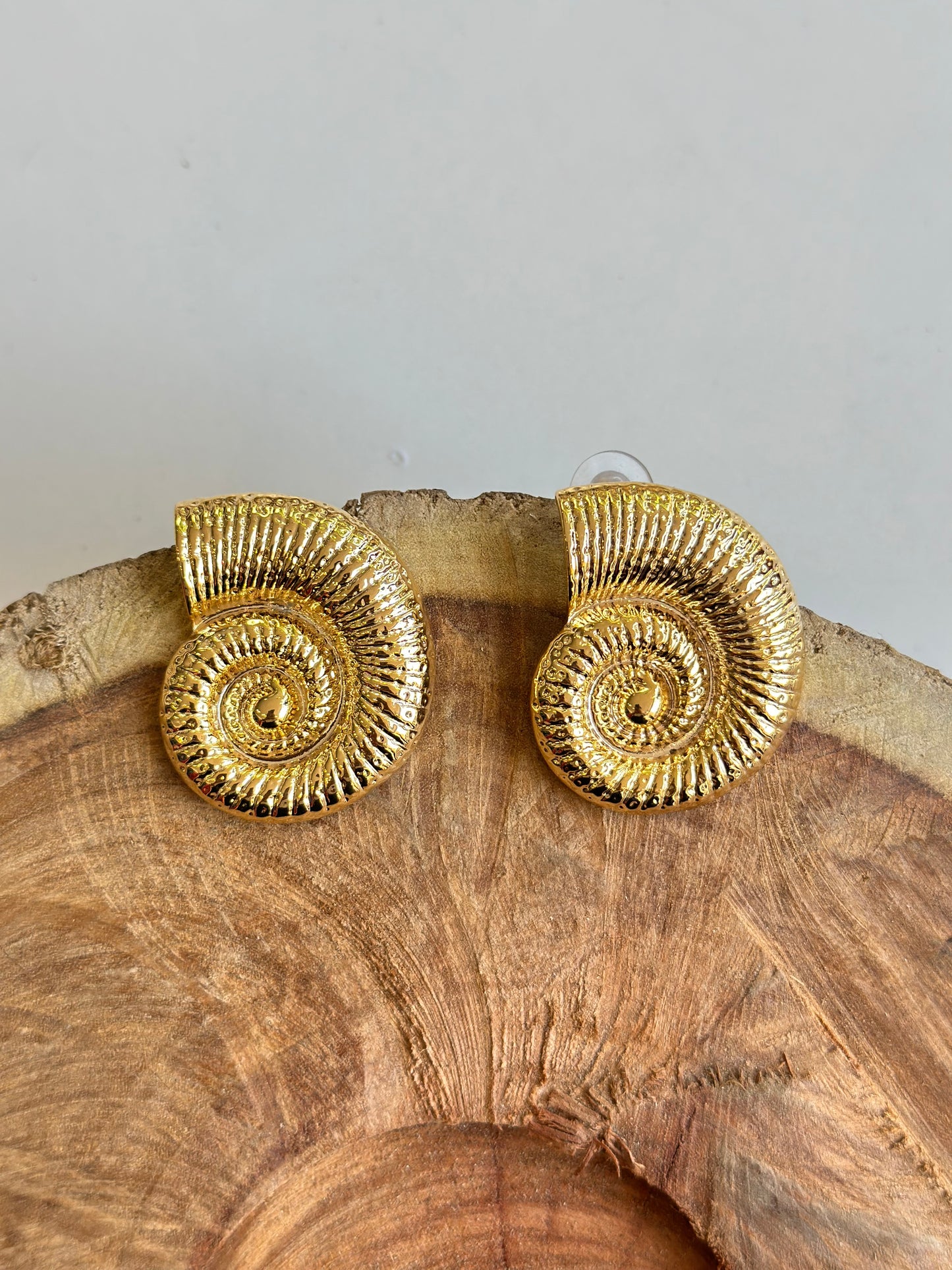 Aretes caracol