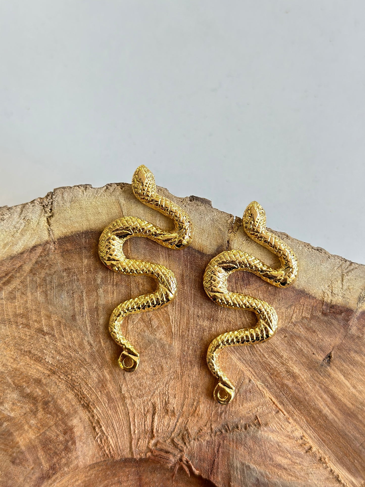 Aretes serpiente